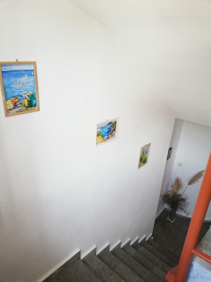 Ianakiev Guest House TTchernomorets Extérieur photo